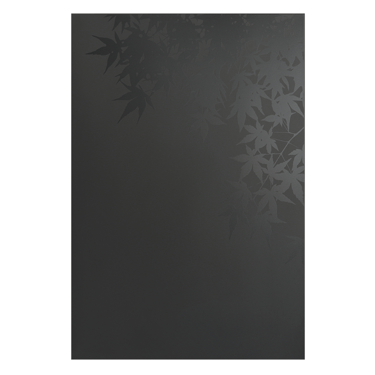 dixneuf-erable-plaque-protection-murale-rable-nf-dtu-24-1 image 2