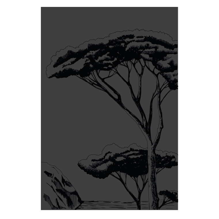 dixneuf-porquerolles-haute-protection-murale-motifs-v-g-taux-nf-dtu-24-1 image 1