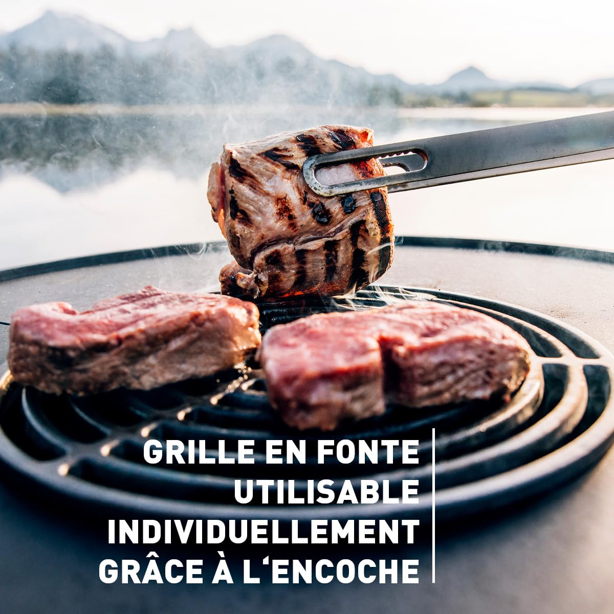hf6fats-bowl-57-sear-grate-grille-en-fonte-c9maille9e image 5