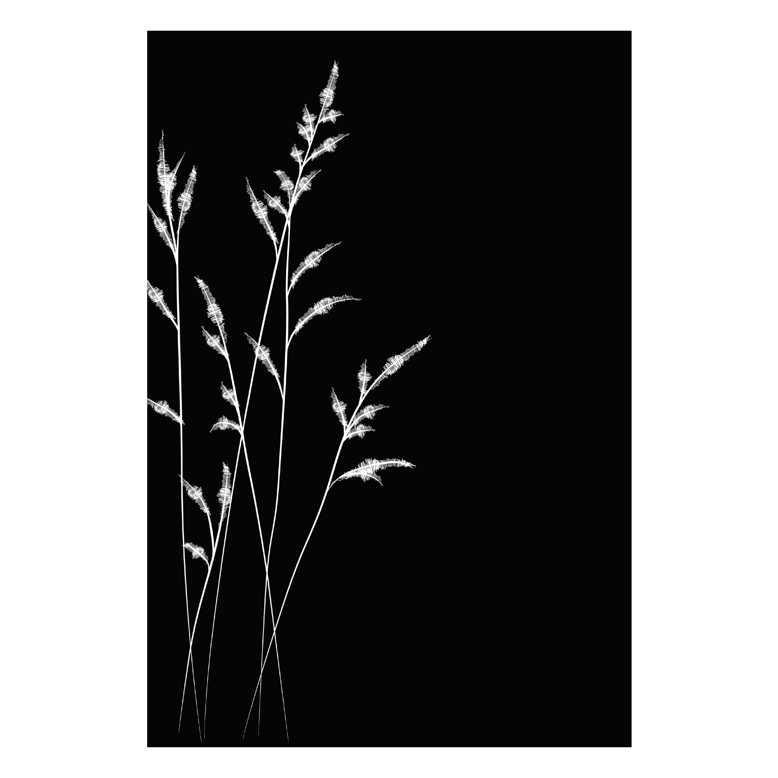 dixneuf-champ-tre-protection-murale-81-3-x-120-4-cm-d-cor-floral-blanc image 1
