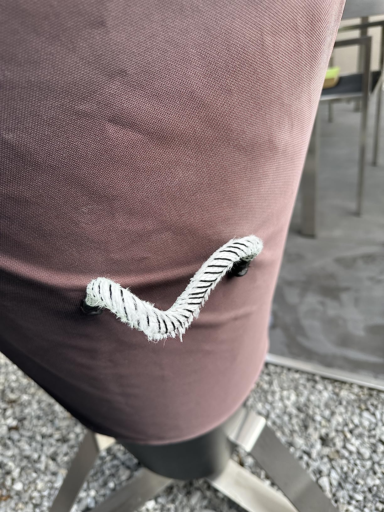 Mon Cone reste dehors sans souci