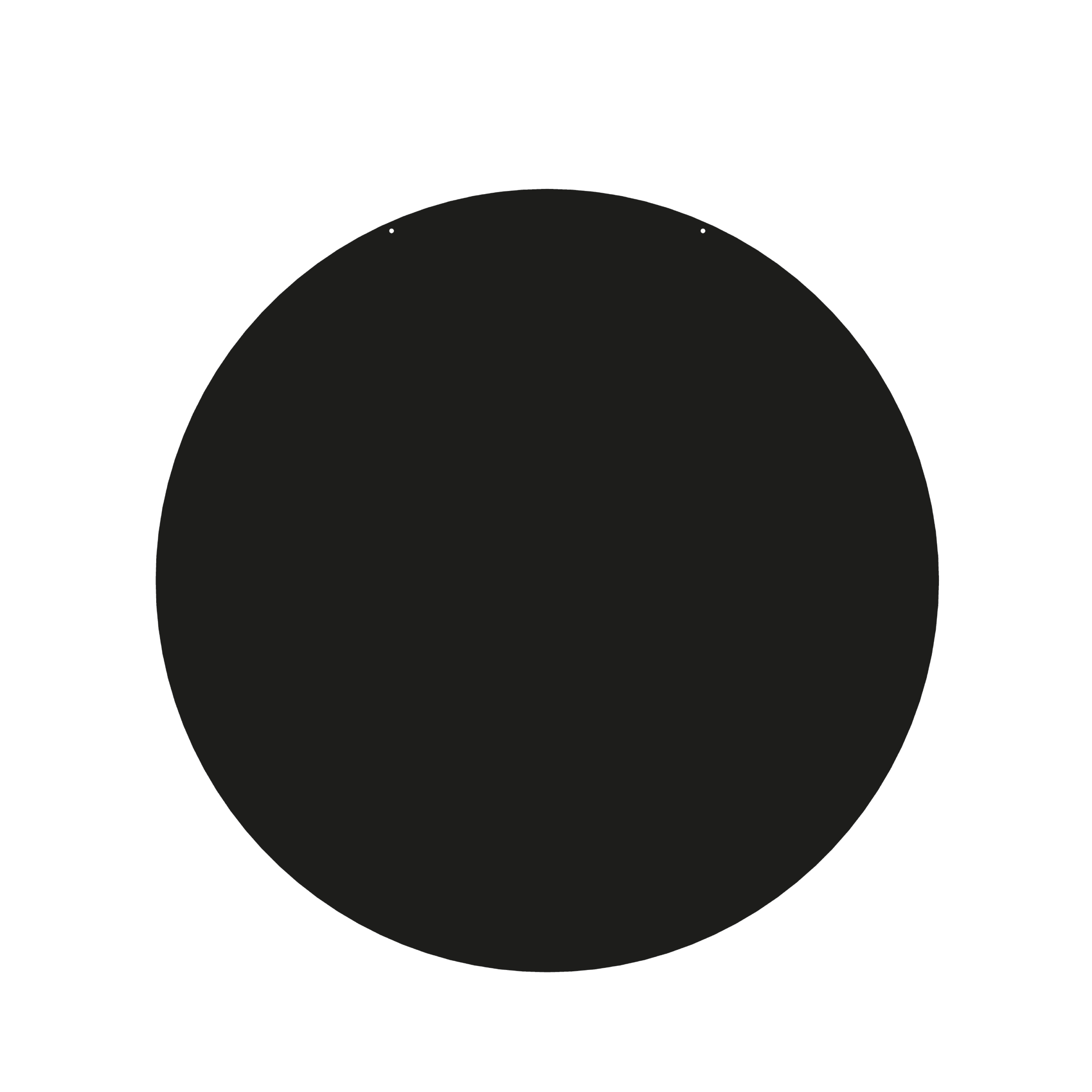 dixneuf-ronde-unie-plaque-de-sol-acier-100-cm-pour-po-le image 1