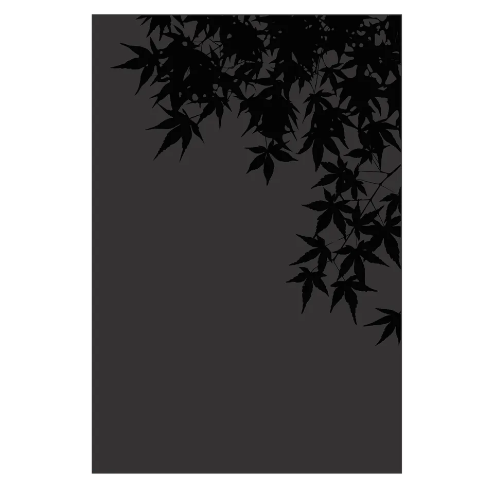 dixneuf-erable-plaque-protection-murale-rable-nf-dtu-24-1 image 1
