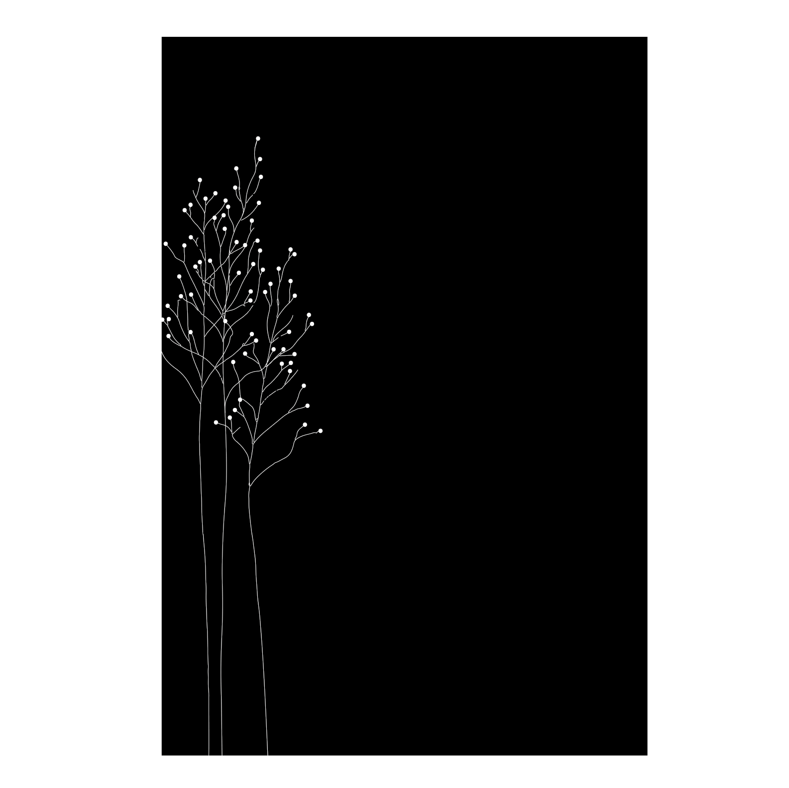 dixneuf-my-protection-murale-81-3-x-100-4-cm-motifs-floraux-blancs-nf-dtu-24-1 image 1