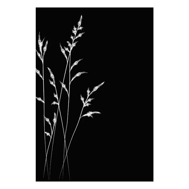 dixneuf-champ-tre-protection-murale-81-3-x-120-4-cm-d-cor-floral-blanc image 1