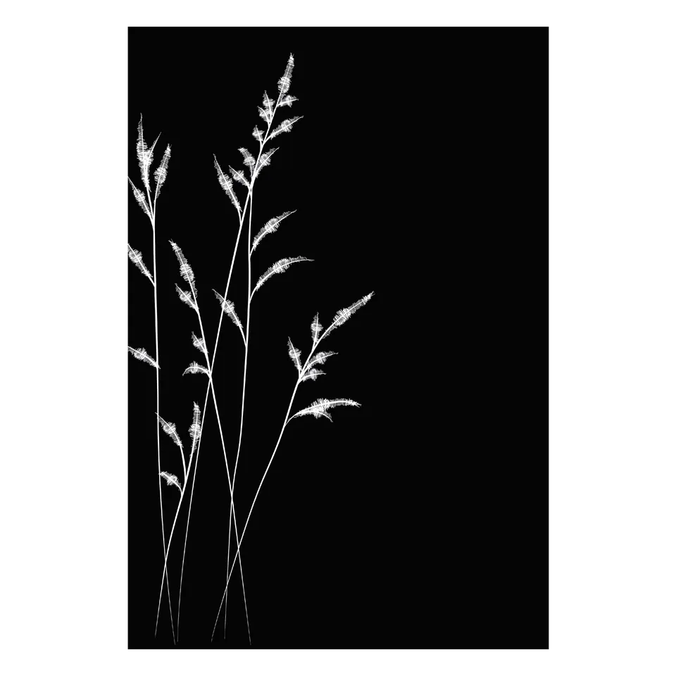 dixneuf-champ-tre-protection-murale-d-cor-floral-81-3-x-100-4-cm image 1